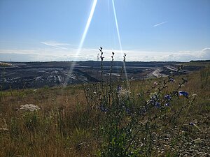 Blick an niedrigen Gräsern vorbei in den Tagebau