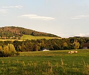 Blick übers Feld auf ein altes Dorf